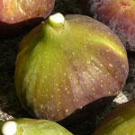 Beauty Benefits of Figs